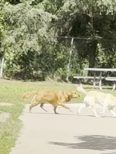 Van Valkenburg Park - Edina, MN