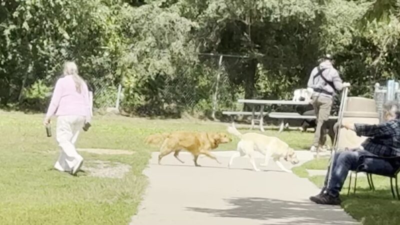 Van Valkenburg Park - Edina, MN