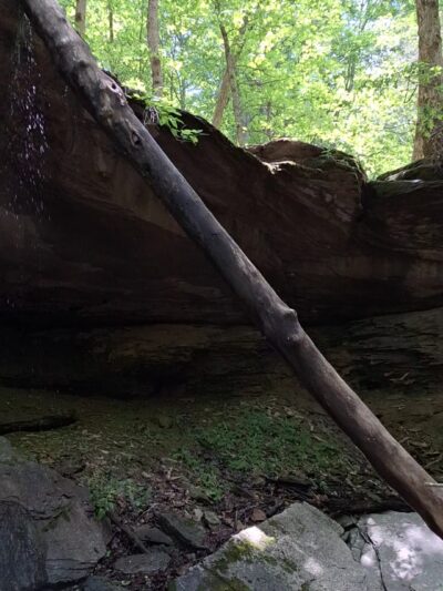 Dry Fork Gorge - Edmonton, KY