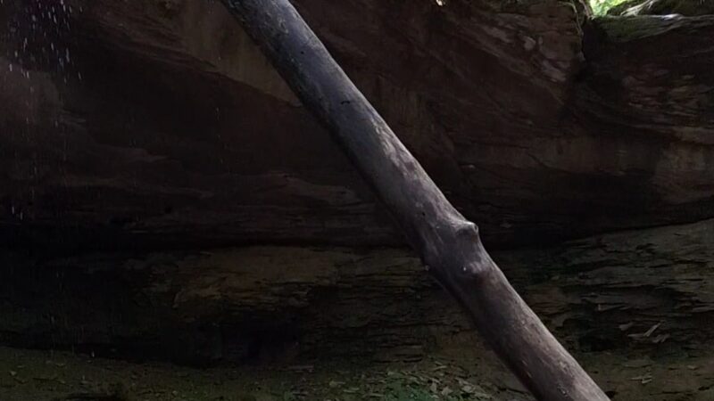 Dry Fork Gorge - Edmonton, KY