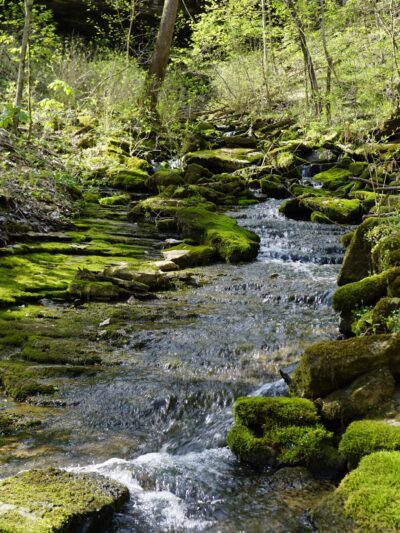 Dry Fork Gorge - Edmonton, KY