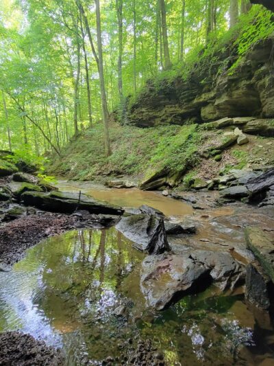 Dry Fork Gorge - Edmonton, KY