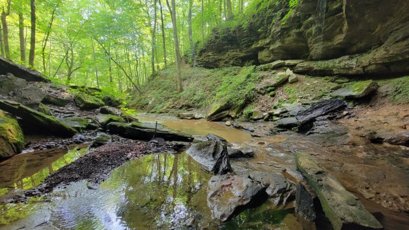 Dry Fork Gorge - Edmonton, KY