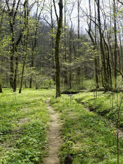 Dry Fork Gorge - Edmonton, KY