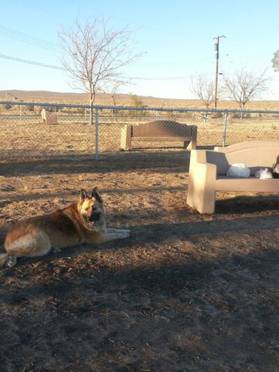 Edwards Bark Park Dog Park - Edwards, CA