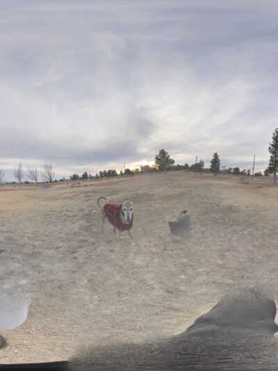 Edwards Bark Park Dog Park - Edwards, CA