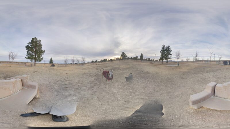 Edwards Bark Park Dog Park - Edwards, CA