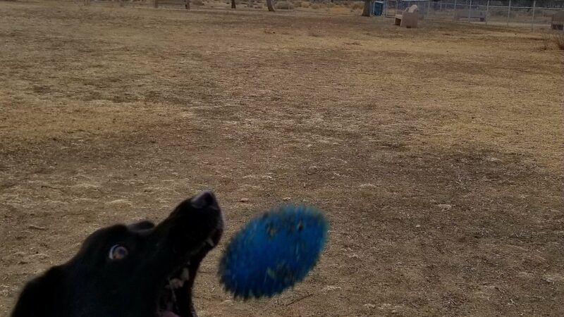 Edwards Bark Park Dog Park - Edwards, CA