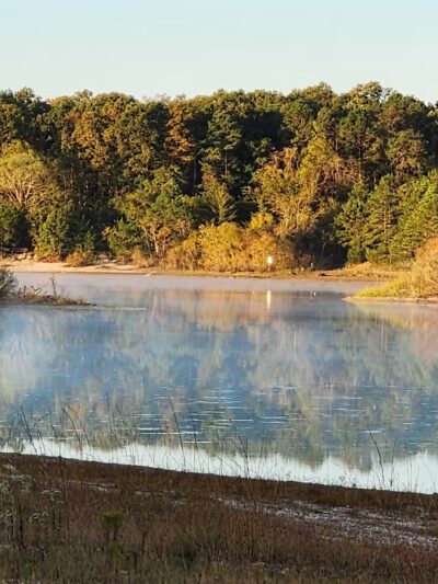 E.H.T. Nature Reserve Smart Trail - Egg Harbor Township, NJ