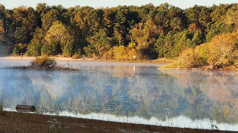 E.H.T. Nature Reserve Smart Trail - Egg Harbor Township, NJ
