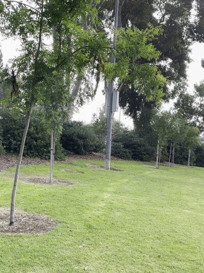 Hillside Park - El Cajon, CA