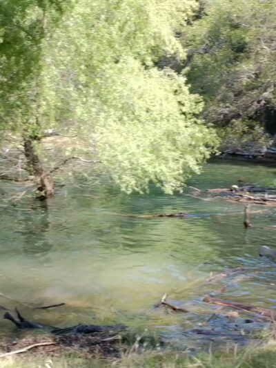 Browns Ravine - El Dorado Hills, CA