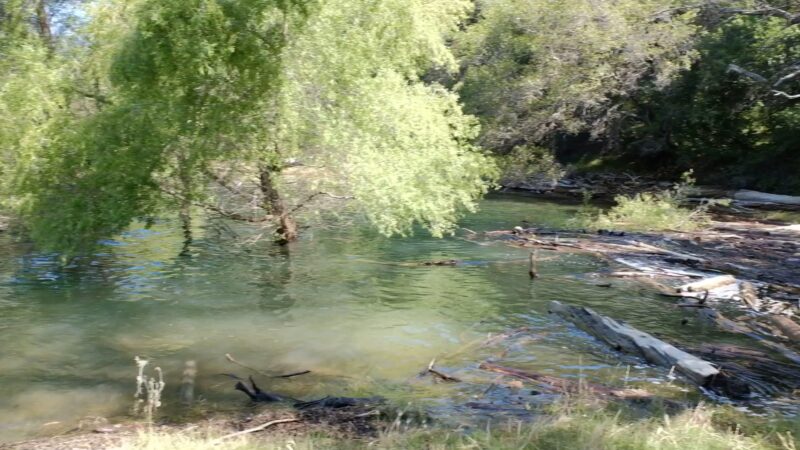 Browns Ravine - El Dorado Hills, CA