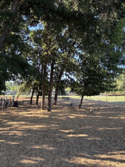 El Dorado Hills CSD Community Dog Park - El Dorado Hills, CA