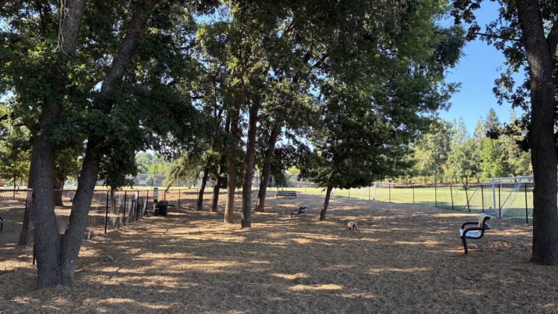 El Dorado Hills CSD Community Dog Park - El Dorado Hills, CA