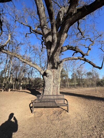El Dorado Hills CSD Community Dog Park - El Dorado Hills, CA
