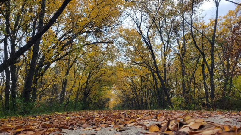 South Pointe Park - El Paso, IL
