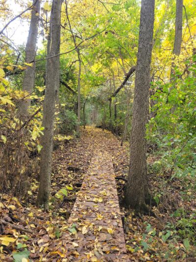 South Pointe Park - El Paso, IL