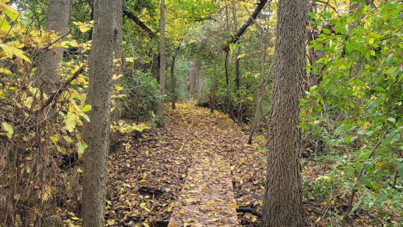 South Pointe Park - El Paso, IL