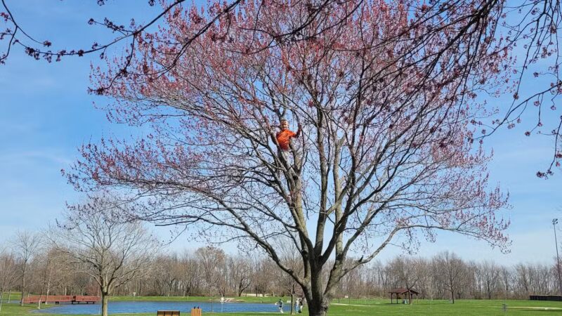 South Pointe Park - El Paso, IL