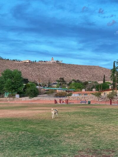 Alethea Park - El Paso, TX