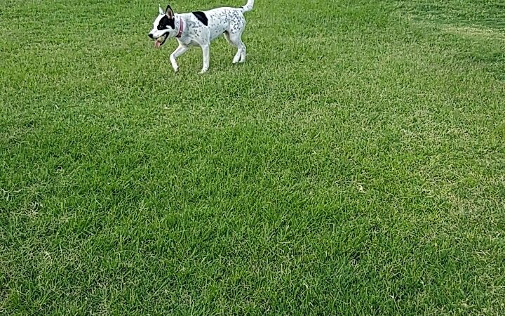 Alethea Park - El Paso, TX