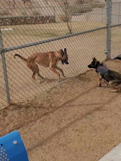 Argal Park - El Paso, TX