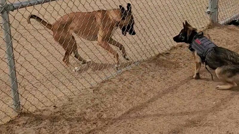 Argal Park - El Paso, TX