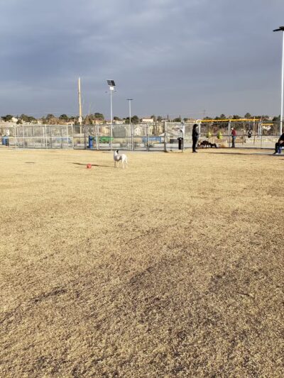 Argal Park - El Paso, TX