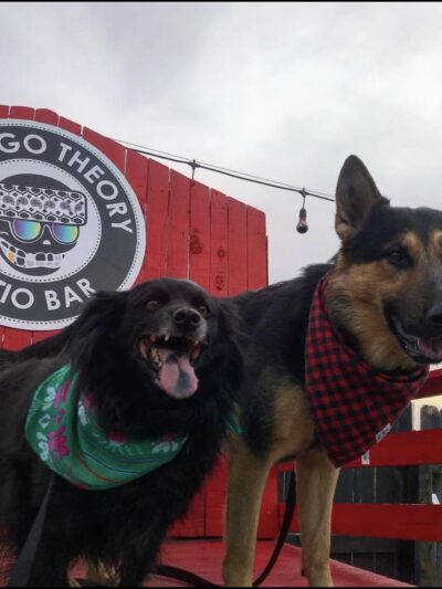 Gringo’s Bark Park - El Paso, TX