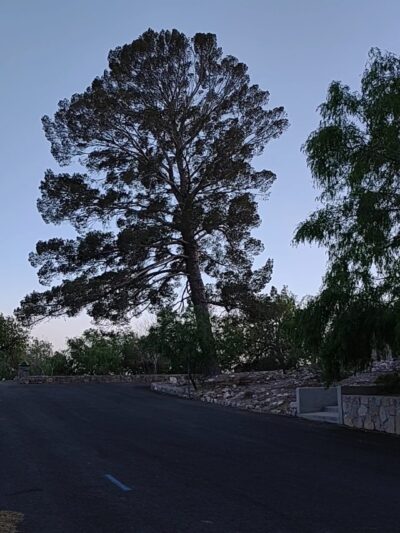 Memorial Park - El Paso, TX