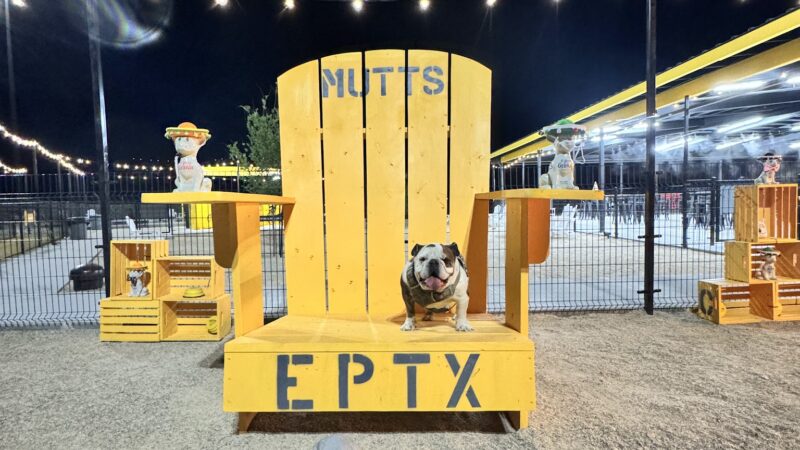 MUTTZ El Paso- Dog Park Bar - El Paso, TX
