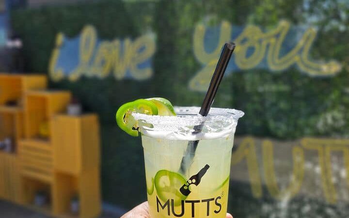 MUTTZ El Paso- Dog Park Bar - El Paso, TX