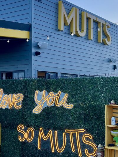 MUTTZ El Paso- Dog Park Bar - El Paso, TX