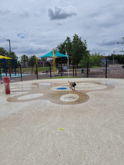 Pavo Real Splash Park/Dog Water Park - El Paso, TX