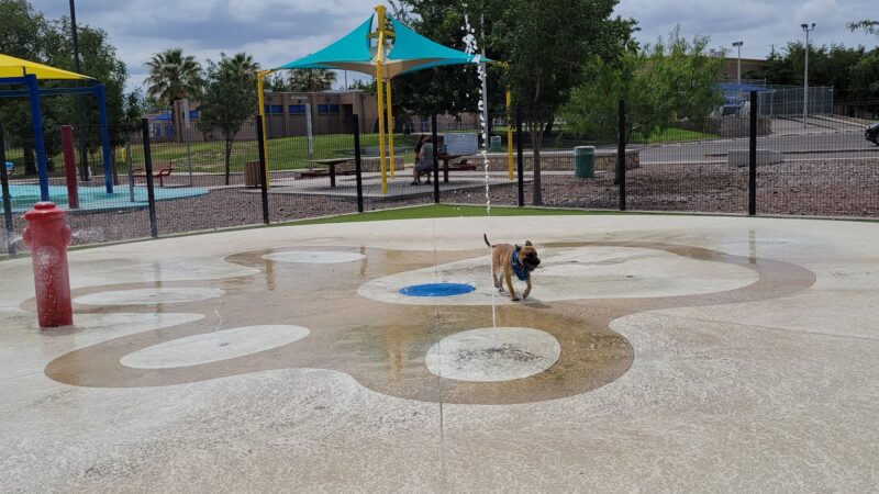 Pavo Real Splash Park/Dog Water Park - El Paso, TX