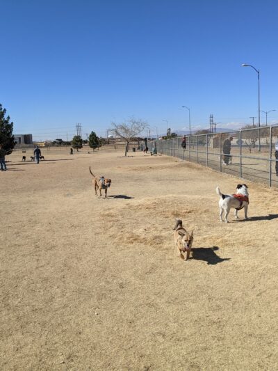 Tierra Buena Dog Park - El Paso, TX