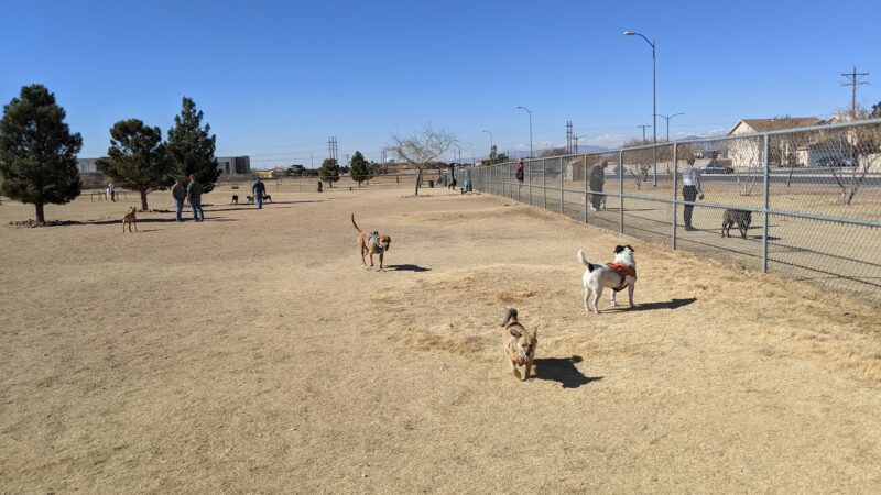 Tierra Buena Dog Park - El Paso, TX