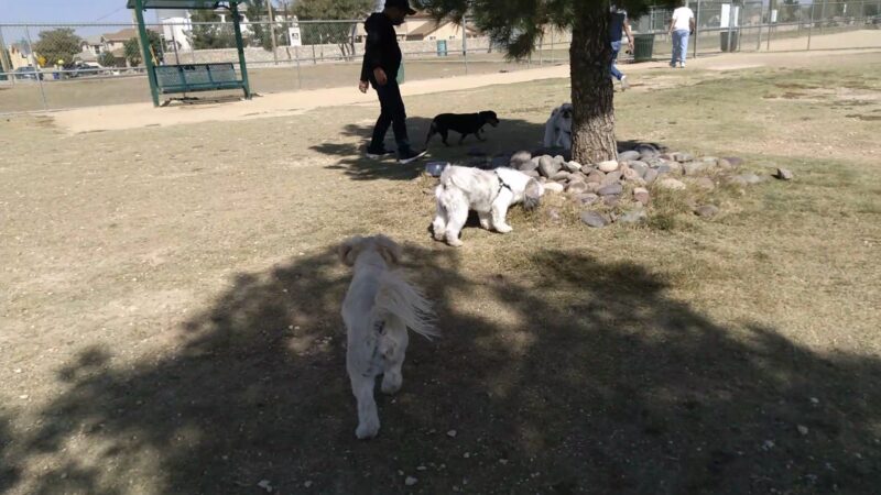Tierra Buena Park - El Paso, TX