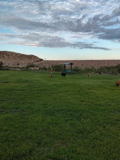 Westside Dog Park - El Paso, TX
