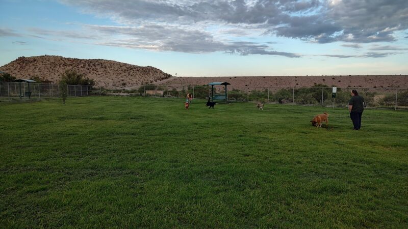 Westside Dog Park - El Paso, TX