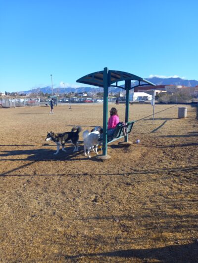 Westside Dog Park - El Paso, TX
