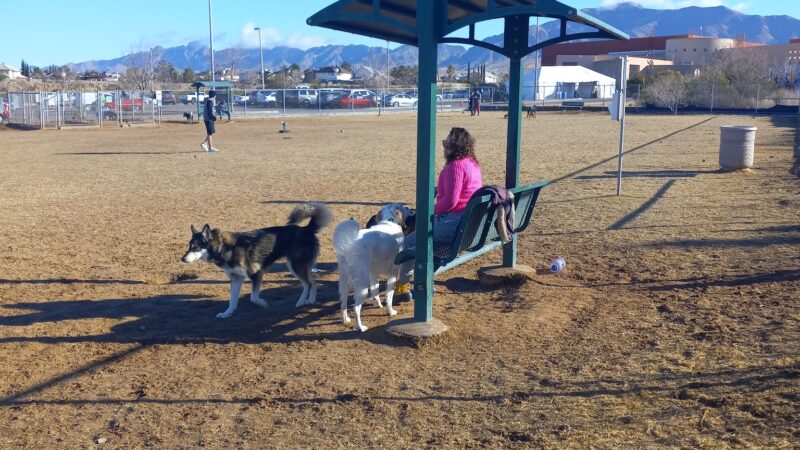 Westside Dog Park - El Paso, TX