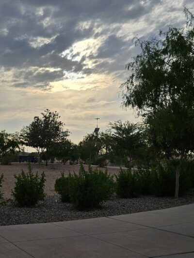 Argal Dog Park - El Paso, TX