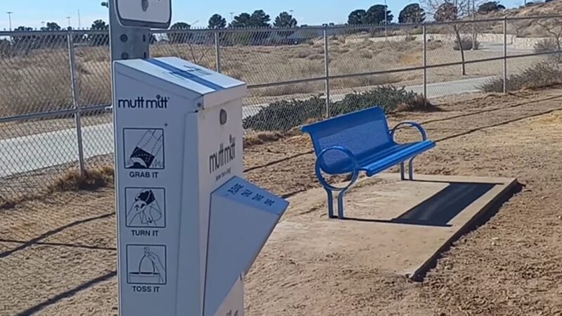 Argal Dog Park - El Paso, TX