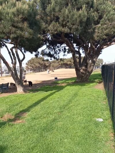 El Segundo Dog Park - El Segundo, CA
