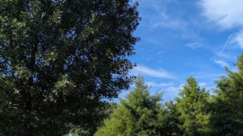 Sutton Park - Elberton, GA