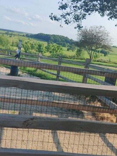 Dog Park - Elburn, IL