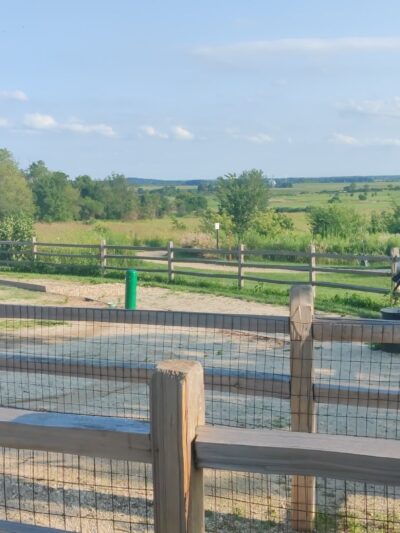 Dog Park - Elburn, IL