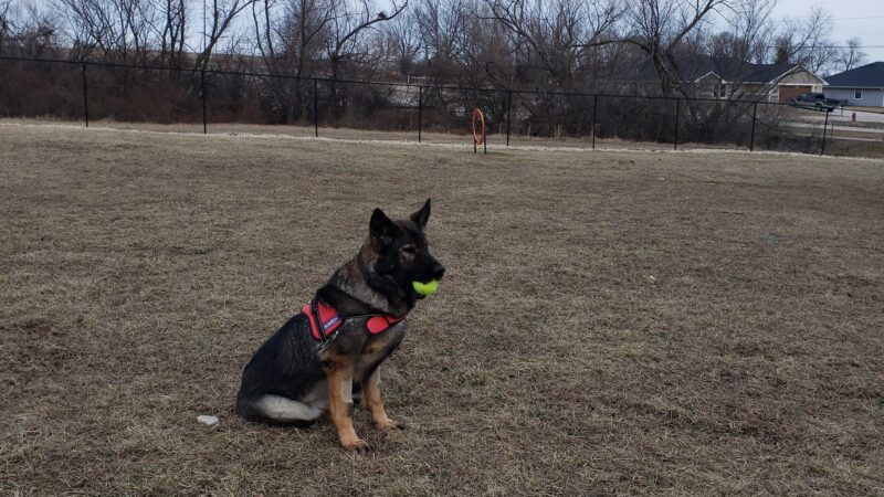 Dog Park - Eldon, MO